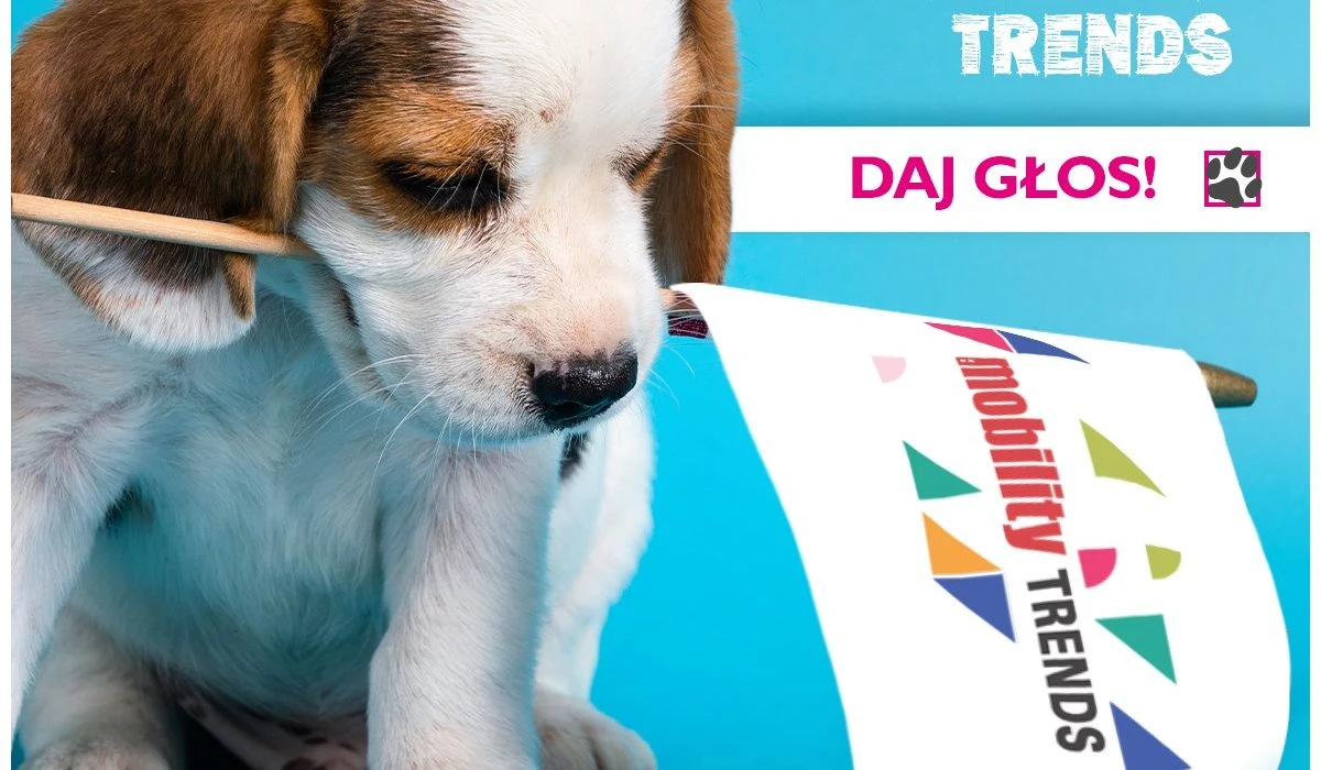 Viva! Mobile nominowana do nagrody Złoty Bell w plebiscycie Moblity Trends 2019 .