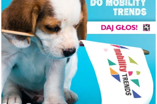 Viva! Mobile nominowana do nagrody Złoty Bell w plebiscycie Moblity Trends 2019 .