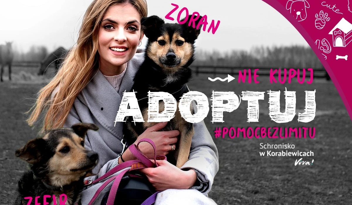 Nie kupuj. Adoptuj!